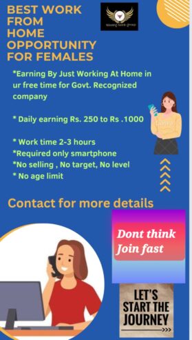 Part time or full time Digital marketing all india