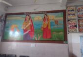 Best kishangarh sheli painter in ajmer
