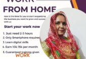 Work from home in nagour