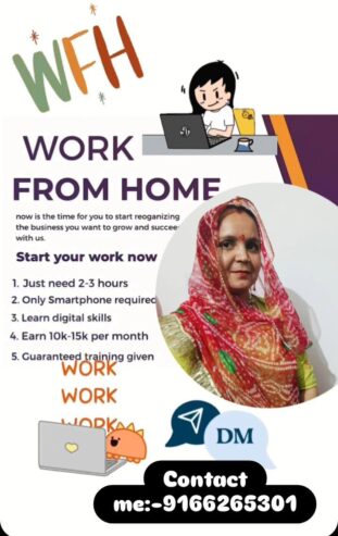 Work from home in nagour